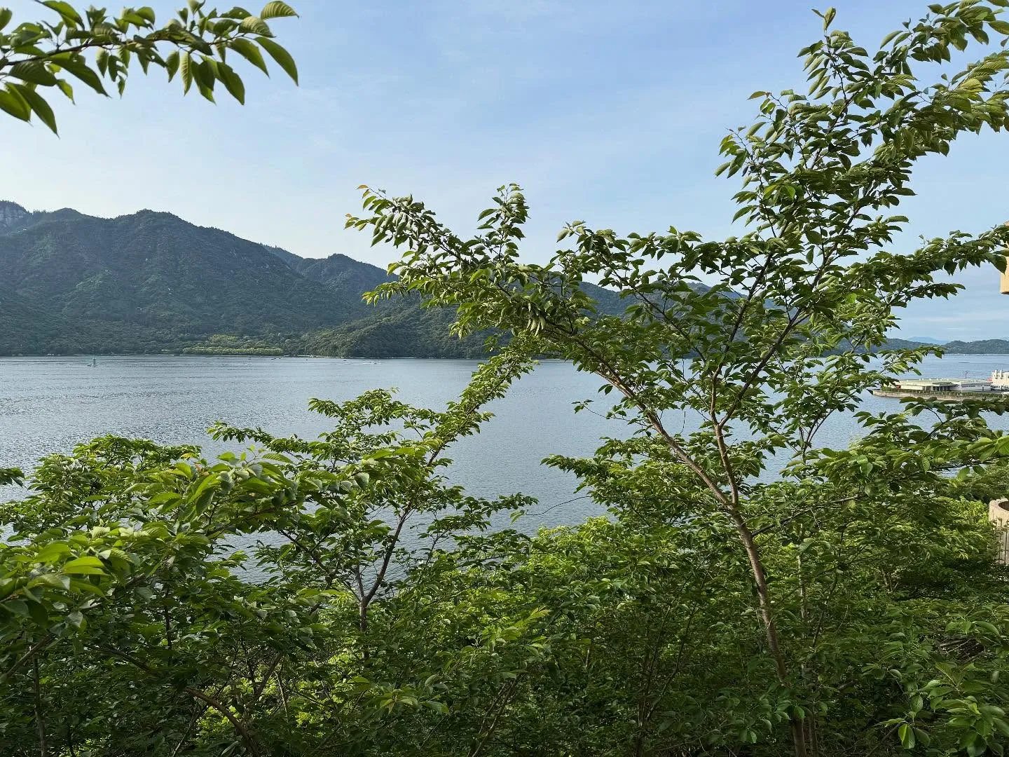 【カイロプラクー誕生🐣】