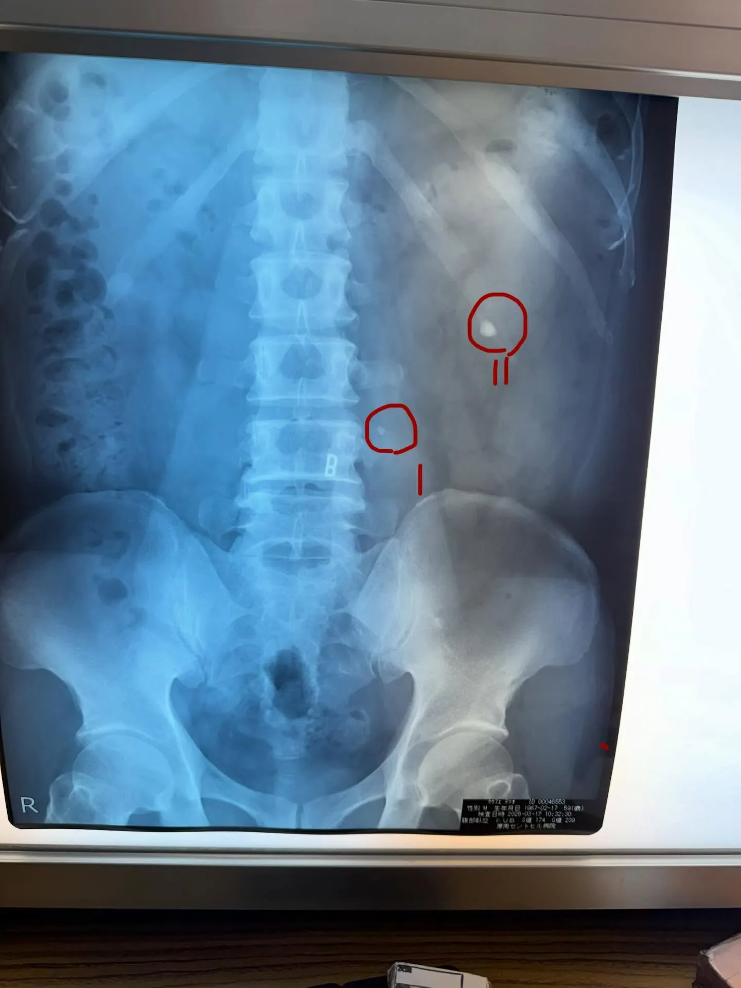 【正しい知識😄】